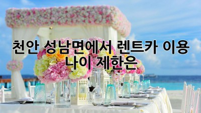 천안 성남면에서 렌트카 이용, 나이 제한은?